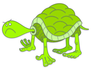 Tortues expressives