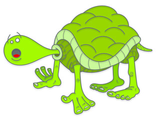 Tortues expressives