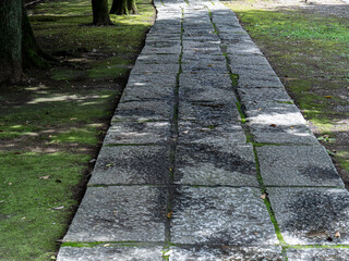 神社の石畳の参道と木立