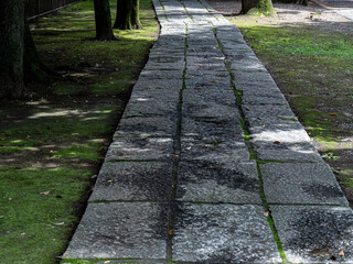 神社の石畳の参道と木立