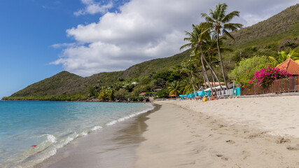 Fototapeta premium Landscape of the Caribbean beach in Sainte Anne Martinique