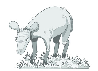 Biche en noir et blanc