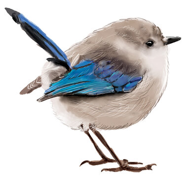 
Beautiful Fluffy Watercolor Little Bird 