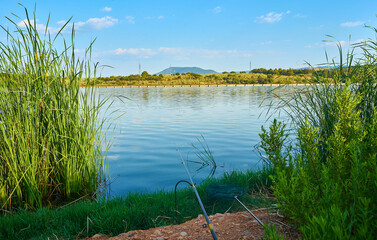 Fishing rod with buoy in a swamp