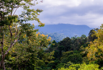 Obraz na płótnie Canvas Landscape with mountains, forest in front. Beautiful scenery best view points jungle reserve deep in southern Thailand.