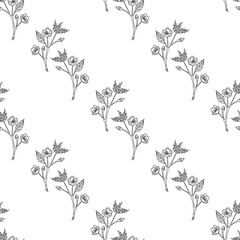 Seamless pattern with creative black-and-white sakura branches on white background. Vector image.