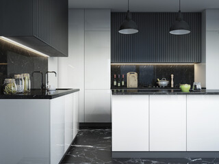 Modern style kitchen. Kitchen in black and white. Marble in the kitchen.
