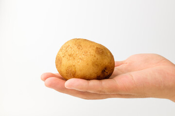 Raw potatoes on a white background