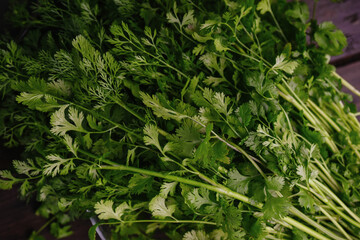 A bunch of fresh cilantro, coriander close-up. authentic still life. Top view