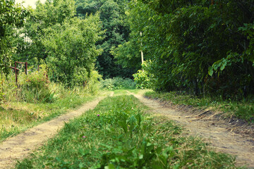 Fototapeta na wymiar Summer rural ground road ends near the forest