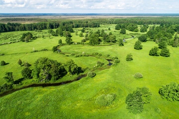Aerial Soomaa National Park. Tõramaa wooded meadow during a summery sunny day in Estonian nature, Northern Europe. 