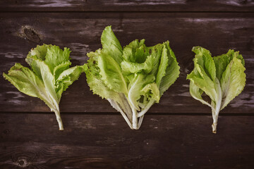 Fototapeta premium Pattern from fresh Lettuce leaveson a wooden dark table. Batavia salad. Authentic still life with green salad flat lay. Rustic style Top view