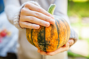 Natural autumn fall view woman hands holding yellow pumpkin. Inspirational october or september...