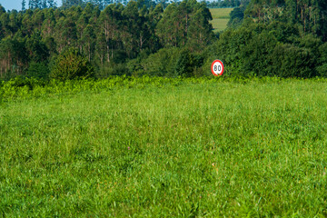Una señal de trafico de limitacion de velocidad entre un campo agricola gallego
