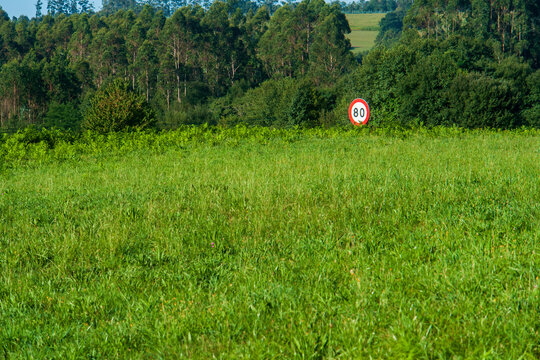 Una se&ntilde;al de trafico de limitacion de velocidad entre un campo agricola gallego
