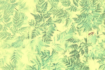 Fototapeta na wymiar green vintage background leaves grass / abstract unusual background vintage look