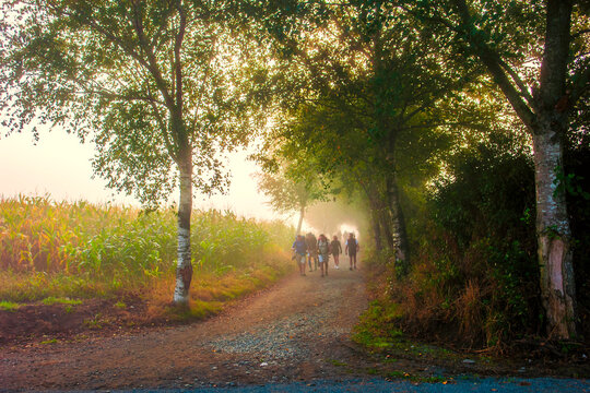 Peregrinos haciendo el Camino de Santiago por un camino de tierra en Galicia