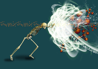 3d rendered illustration of a human brain