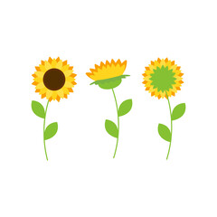 This is sunflowers on a white background. Cute flower set.
