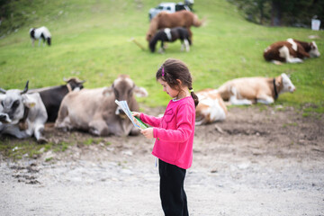 The little girl is looking at a map with a plan. Cows lie in the background. The route for the hike.
