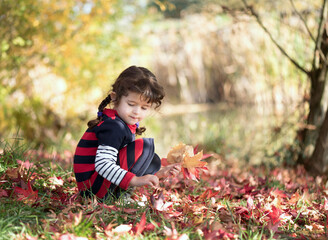 Little girl in the park collects autumn leaves.