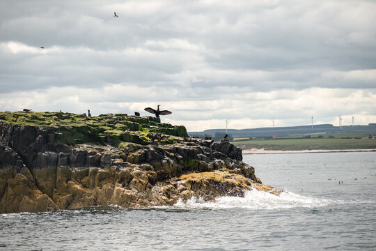 Island with lighthouse