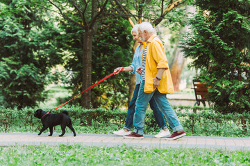 Side view of positive elderly couple strolling with pug dog on leash in summer park