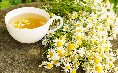 A cup of chamomile tea among flowers on a wooden stump