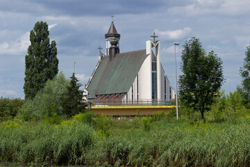 Przyroda,trawa,zieleń,drzewa 