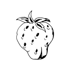 Obraz premium Strawberry Hand Drawn Illustration