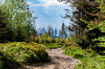 Ścieżka Biały Krzyż
