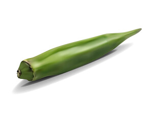 オクラのイラスト/背景が透明な野菜なのでどんな背景にもマッチする