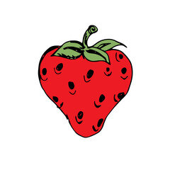 Strawberry Hand Drawn Color Illustration