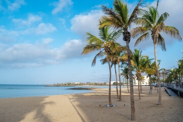 Obraz na płótnie Canvas Beautiful white tropical beach and coconut palms.