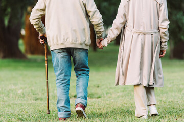 Back view of senior couple holding hands while walking on grass in park
