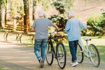 Back view of senior couple walking near bicycles in park