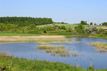 Summer rural landscape with an open-air lake.