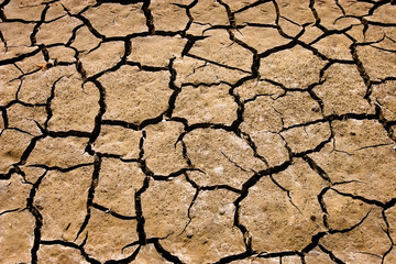 Cracks on the soil during a drought