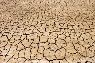 Cracks on the soil during a drought