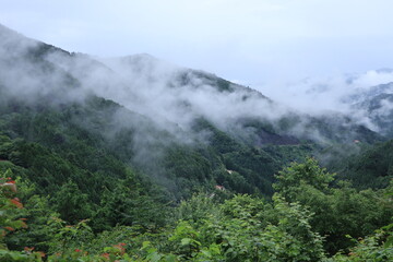 nature in Hinohara village  ,japan,tokyo