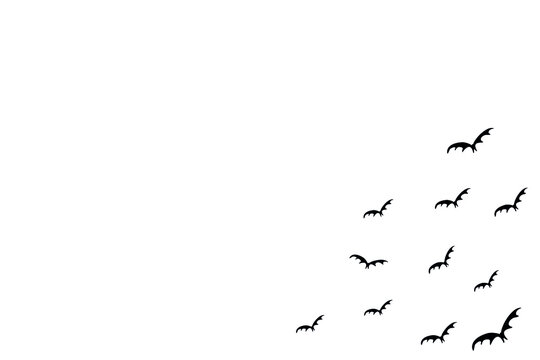 White background for a project for the holiday of helluin. Bats from the lower right side. Vector illustration