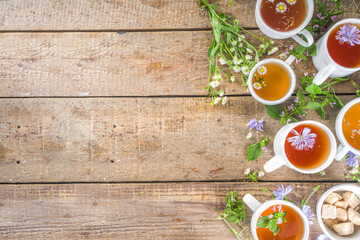 Different herbal tea set. Various  cups with organic herbal, flower tea - camomile, chicory, melissa mint, lavender. Organic natural drinks concept. Health and immunity care beverages