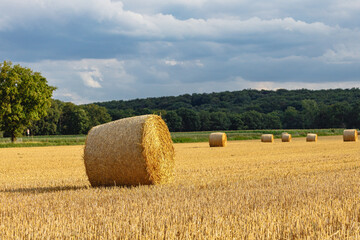 hay bales in the field in the background green trees and a cloudy sky