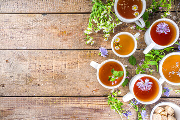 Different herbal tea set. Various  cups with organic herbal, flower tea - camomile, chicory, melissa mint, lavender. Organic natural drinks concept. Health and immunity care beverages