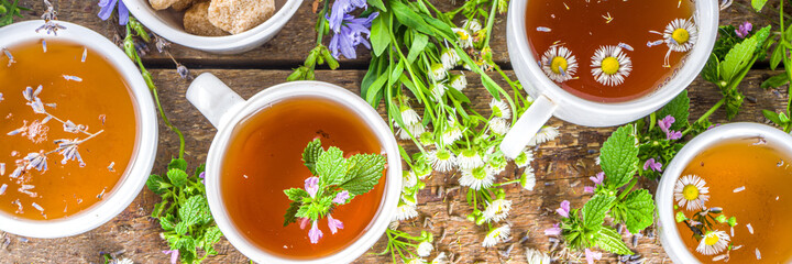 Different herbal tea set. Various  cups with organic herbal, flower tea - camomile, chicory, melissa mint, lavender. Organic natural drinks concept. Health and immunity care beverages