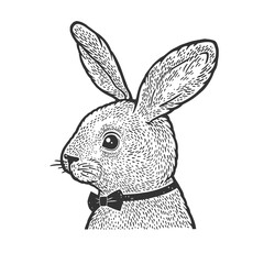 Rabbit in bow tie sketch engraving vector illustration. T-shirt apparel print design. Scratch board imitation. Black and white hand drawn image.
