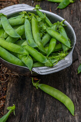 Harvest of ripe pods of green peas. Green peas in stitches in a metal bowl on a wooden natural background. Fresh green peas pods on a wooden board