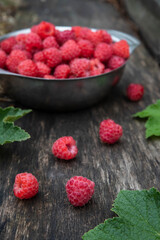 Freshly harvested raspberry. Raspberries on wooden background close up, metal cup with raspberries in the background