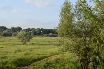 Trees, fields, grass, river collection