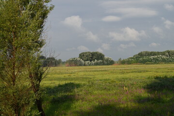 Trees, fields, grass, river collection